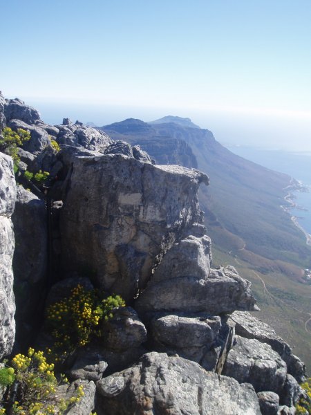 KeHa_in_South_Africa - 235
